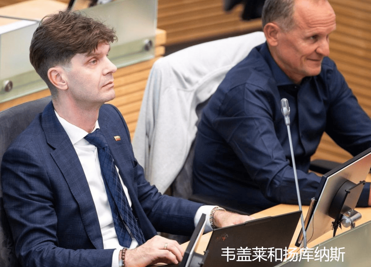立陶宛议员想找中国谈谈，结果人都还没见到，先被泼了一盆“冷水”
