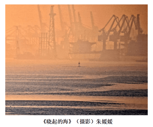 文章配图-19