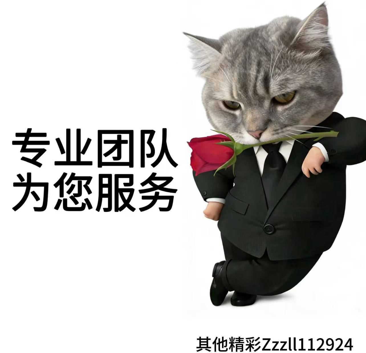 美因茨
