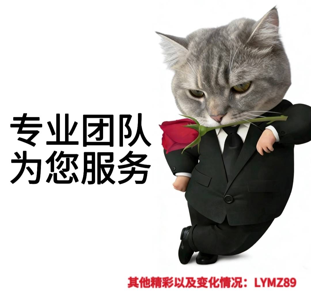 达姆施塔特