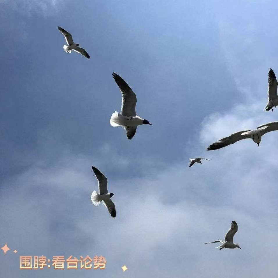 斯特拉斯堡