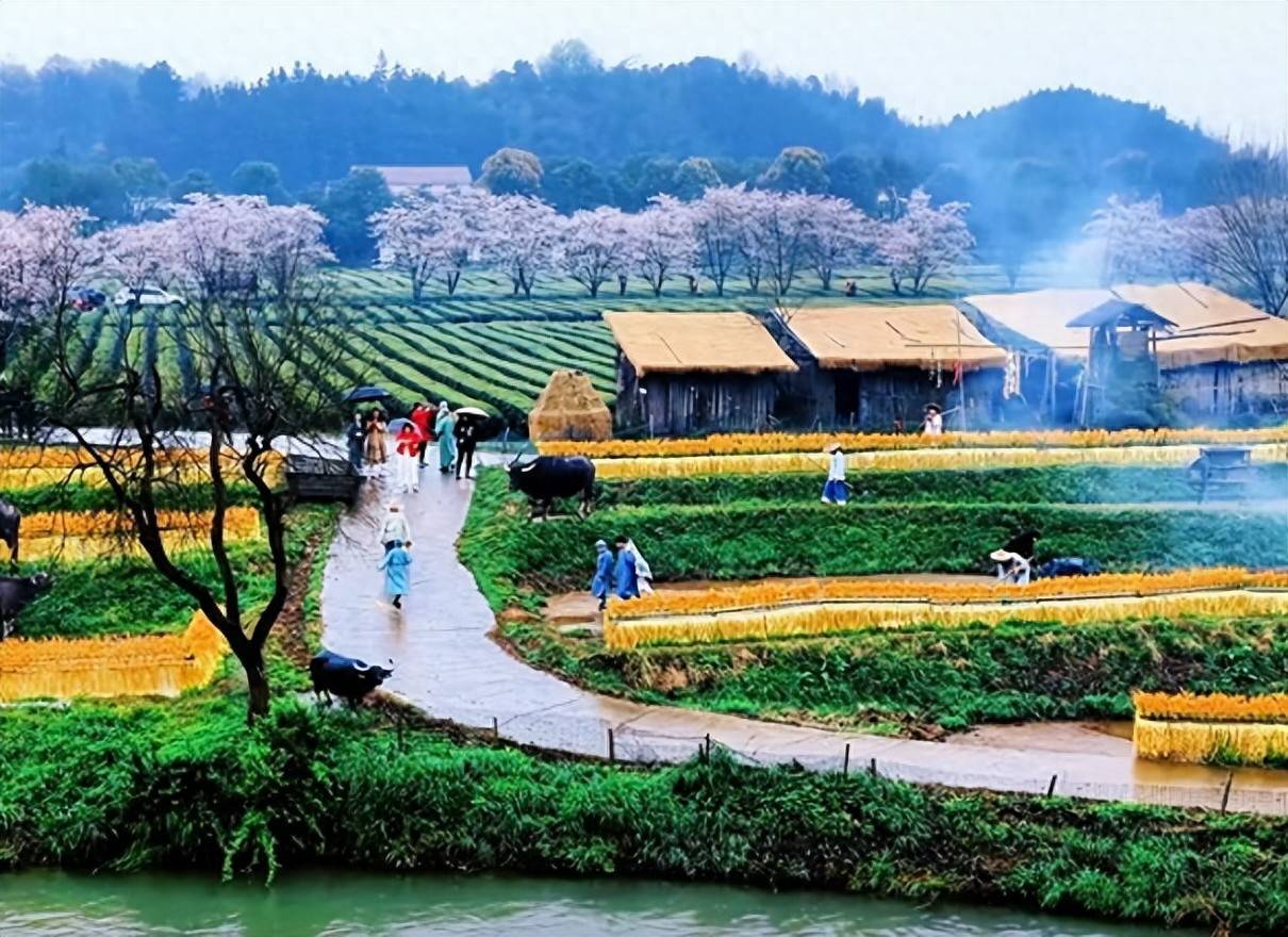 “双节”同庆，常德桃花源开启欢乐模式