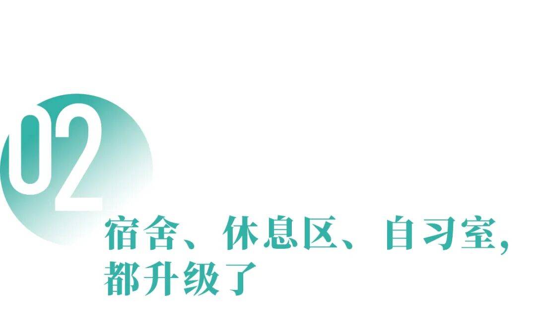 文章配图-2