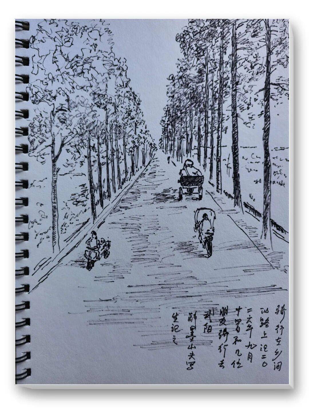 文章配图-6