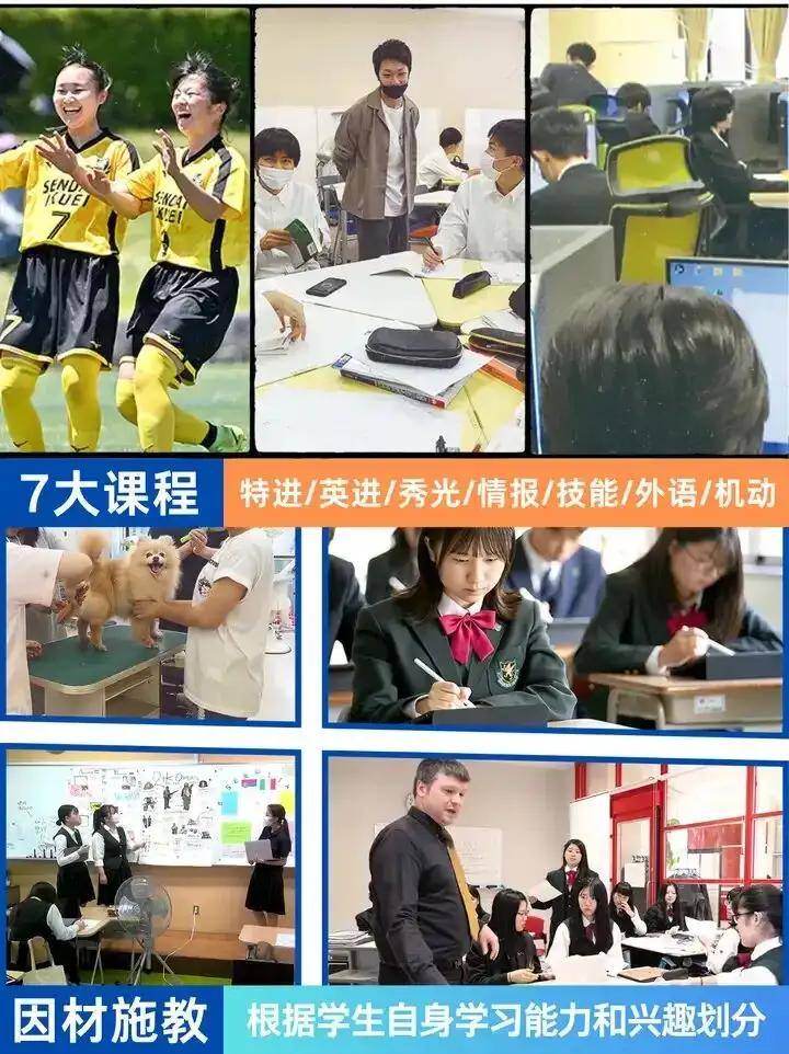 请输入图片描述