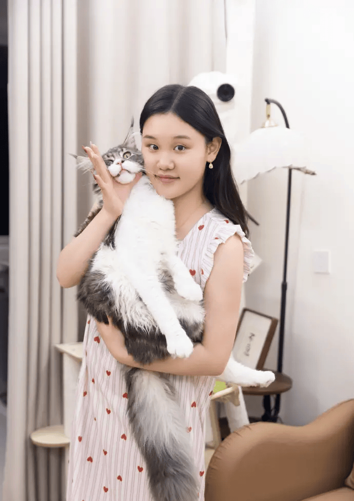 向太评张家齐母女关系：建议断亲减少联络，经济支持可继续