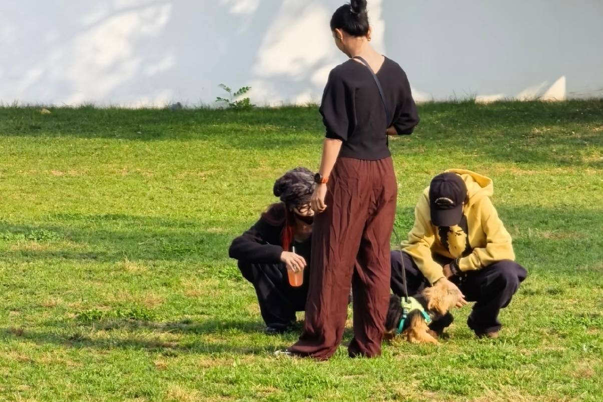 宋妍霏窦靖童奥森公园惬意遛狗 亲密互动尽显闺蜜情深