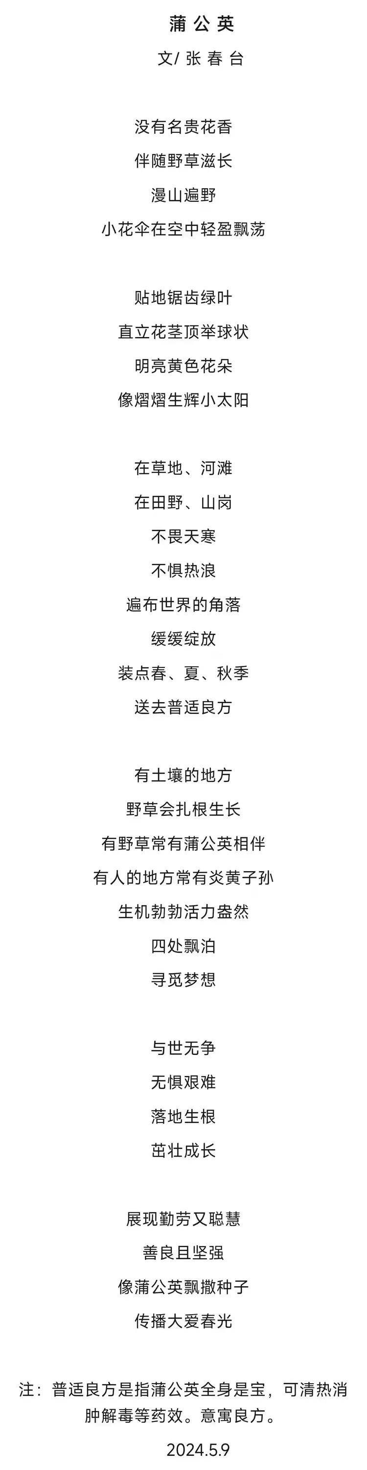 张春台——2026柏林国际艺术双年展·金钥匙国际艺术大展获奖（图23）
