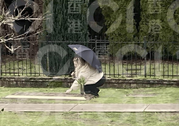 郑欣宜雨中跪祭母亲沈殿霞 信托基金背后的母女深情引关注