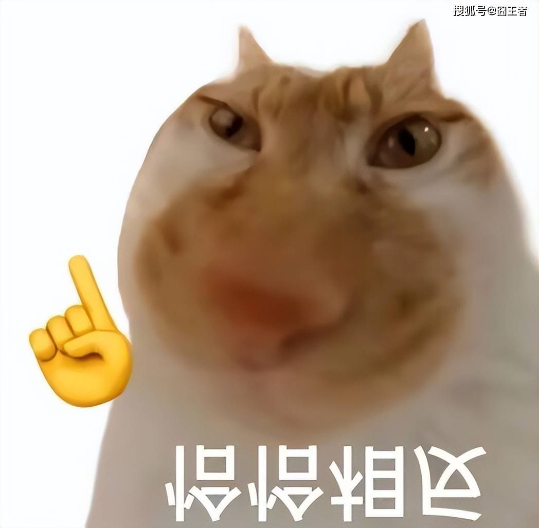 文章配图-1