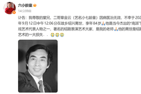 绍剧表演艺术家小七龄童去世