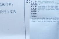 北方毒隐翅虫频现伤人？气候变暖或为主因之一