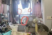 父亲外出遛狗，2岁男童被独留家中坠楼，12分钟发生了什么？