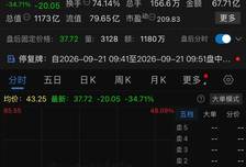 新股炒作典型！沈鼓集团上市2天被点名，3天6 次触发临停，什么原因？