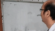 搞笑GIF：屎壳郎追屎壳郎，难道就为了这一口吃的？