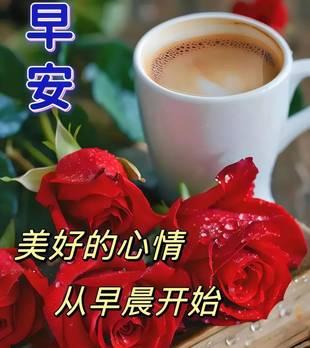 “早起三光，晚起三慌”，今早的暖心话送给最在乎的你