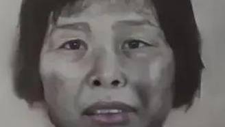 人贩子“梅姨”被公诉