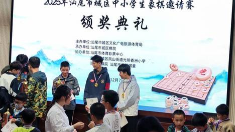 2025汕尾市城区中小学生象棋比赛落幕 凤翔中学郑皓获得冠军