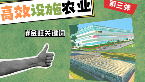 内容配图