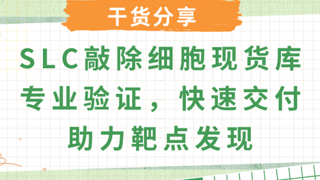 SLC转运蛋白敲除细胞：从代谢调控到药物靶点发现