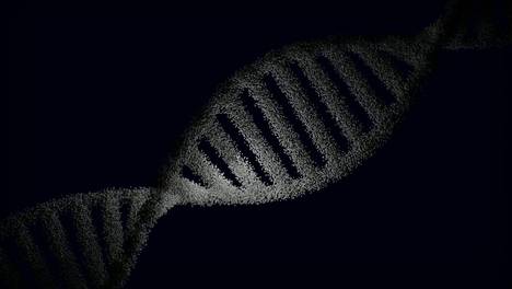 备孕不只是妈妈的事：父亲的压力记忆，如何“改写”后代发育？