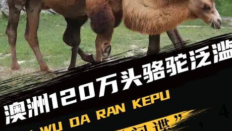 内容配图
