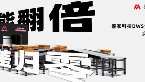 效能翻倍、误差归零，墨家DWS分拣设备实力出圈！
