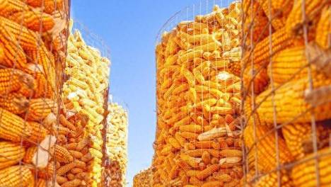 全球粮食价格要涨了，中国人吃饭的问题会出问题吗？