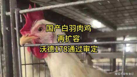 内容配图