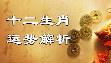 2026年（10月6日）十二生肖最棒运势播报