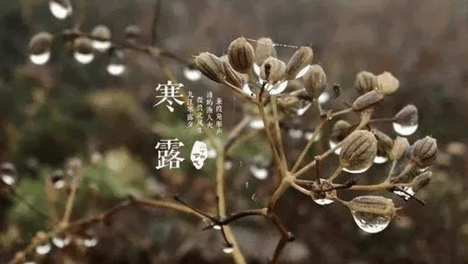 国庆假期后就是寒露，天气逐渐转冷，这肉贵点也该多吃，御寒暖身强筋骨！