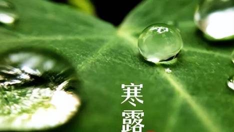 寒露将至，不懂吃就亏了！牢记：多吃3红3白、少吃3样，顺季调养，为入冬打好基础！