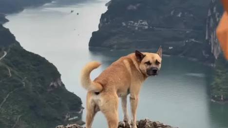 内容配图