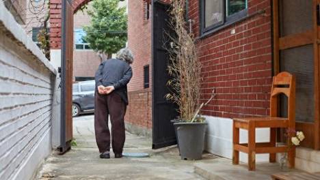 费大厨招服务员写本科以下勿扰