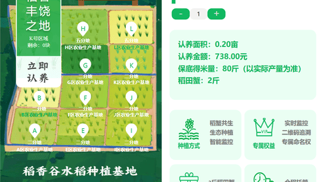 建宁山海协作出新招！100亩莲田认养，解锁乡村农业新商业模式