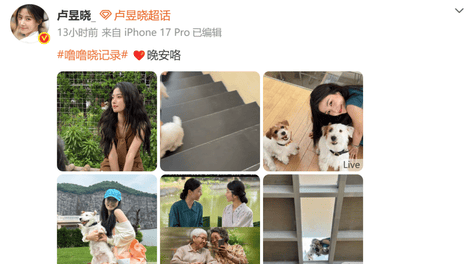 女星卢昱晓发布《给阿嬷的情书》屏摄引争议，本人发文道歉：伤害电影创作者心血，已深刻认识到问题严重性；电影票房已破4亿元