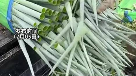 内容配图