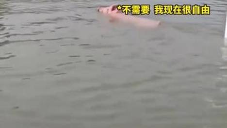 内容配图