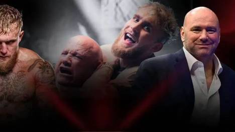 全新赛事宣战UFC！目前已签约400多拳手！