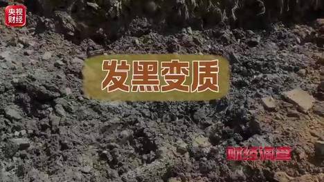 良田被毁，污水入河！总台《财经调查》曝光这些民生治污工程形同虚设