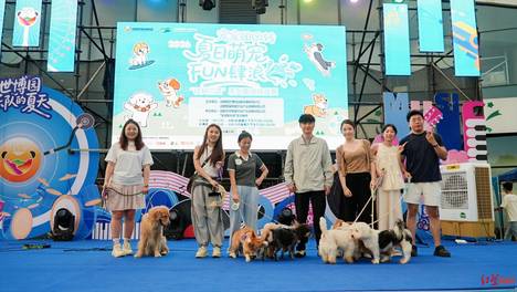 萌宠铁狗三项挑战赛火热上演，成都世博园第二届戏水狂欢嘉年华持续上新