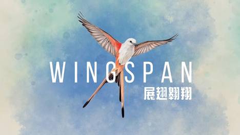 波兰资料片之不完全流程记录