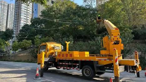 【城市精细化管理系列报道】清理桥梁“蜘蛛网” 净化城市“天际线”