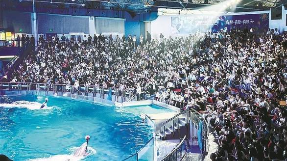 癌细胞最喜欢的5类食物