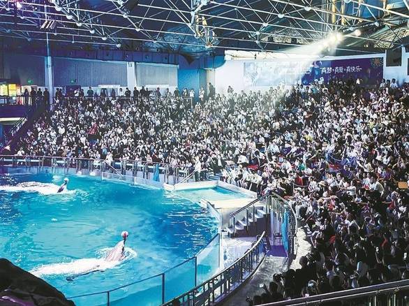 短剧女演员吐槽影视行业现状