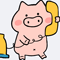 极风收藏家