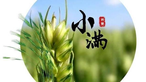 今日小满，无论有钱没钱，别忘了吃“小满6宝”，老传 统不能忘！