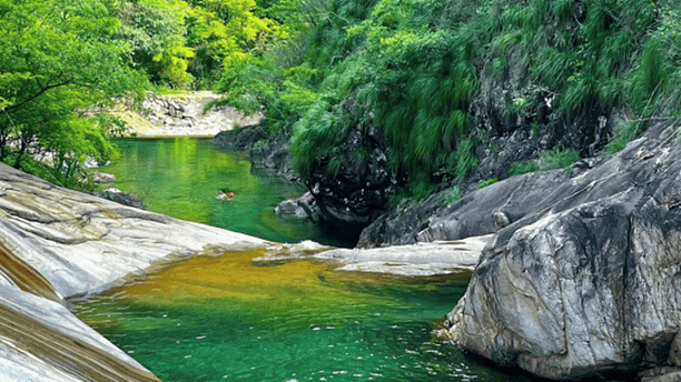 丽水赴沪发布避暑旅居精品路线，送上“秀山丽水新村民”邀请函