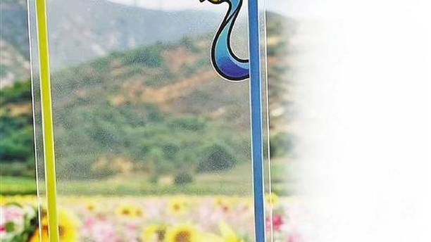 “带着浙BA透卡去旅行” 活动圆满收官