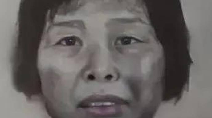 人贩子“梅姨”被公诉